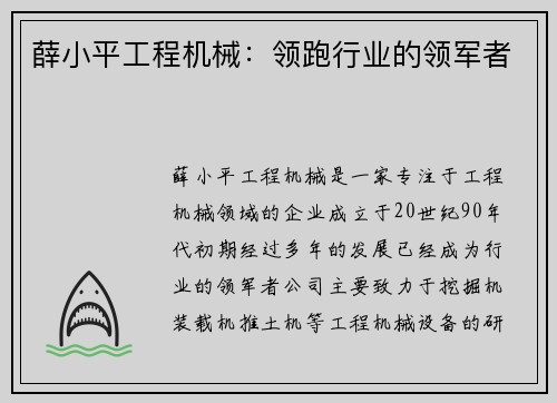 薛小平工程机械：领跑行业的领军者